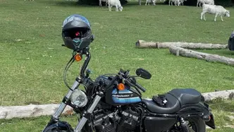 Harley-Davidson 1200 Forty-Eight Special (2018 - 20) usata