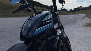 Harley-Davidson 1200 Forty-Eight Special (2018 - 20)  (4)