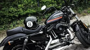 Harley-Davidson 1200 Forty-Eight Special (2018 - 20)  (6)