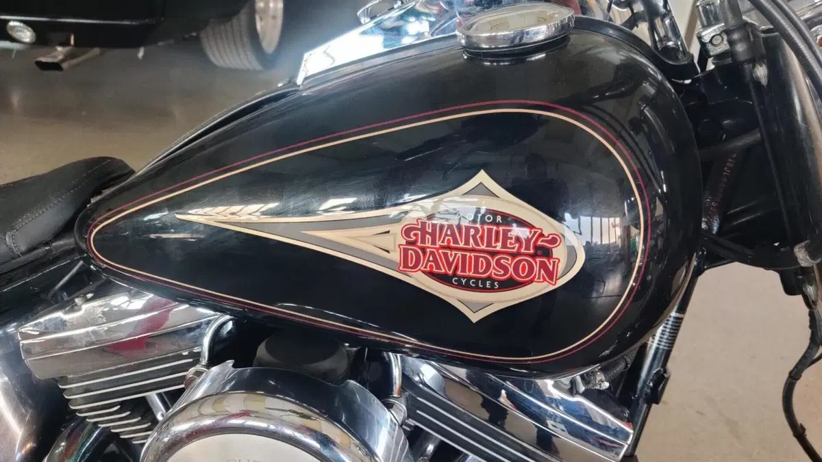 Harley-Davidson 1340 Heritage Classic (1984 - 98) - FLSTC  (11)