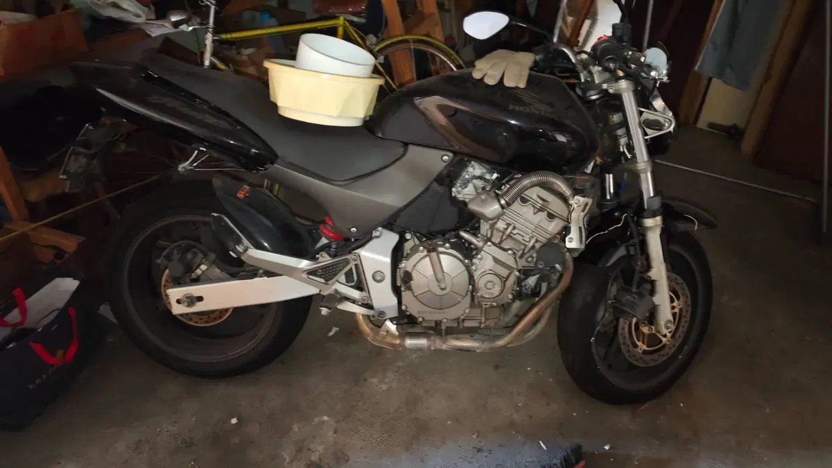 Honda Hornet 600 (2000 - 02) 
