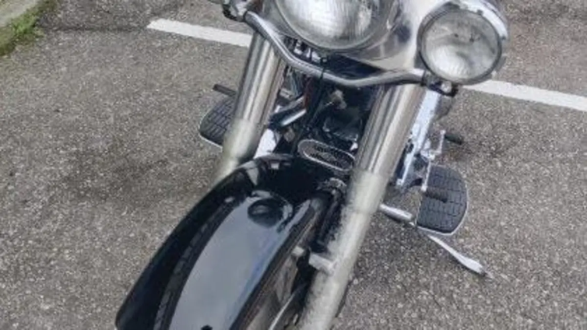 Harley-Davidson 1340 Fat Boy (1990 - 99) - FLSTF  (8)