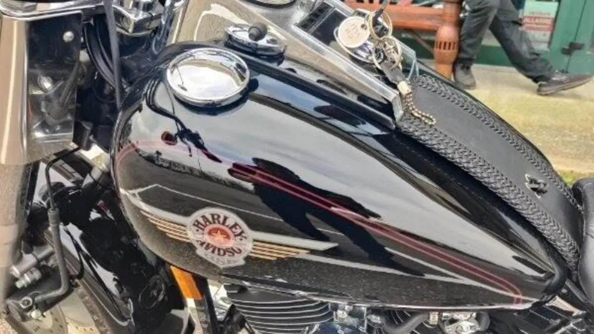 Harley-Davidson 1340 Fat Boy (1990 - 99) - FLSTF  (10)