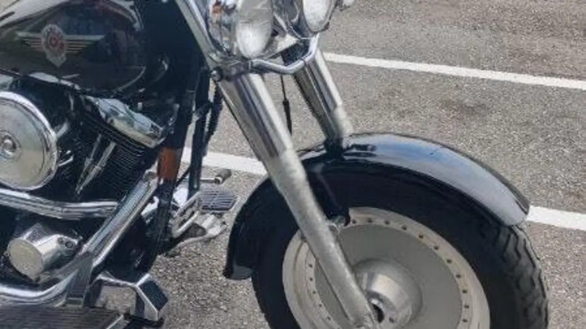 Harley-Davidson 1340 Fat Boy (1990 - 99) - FLSTF  (11)
