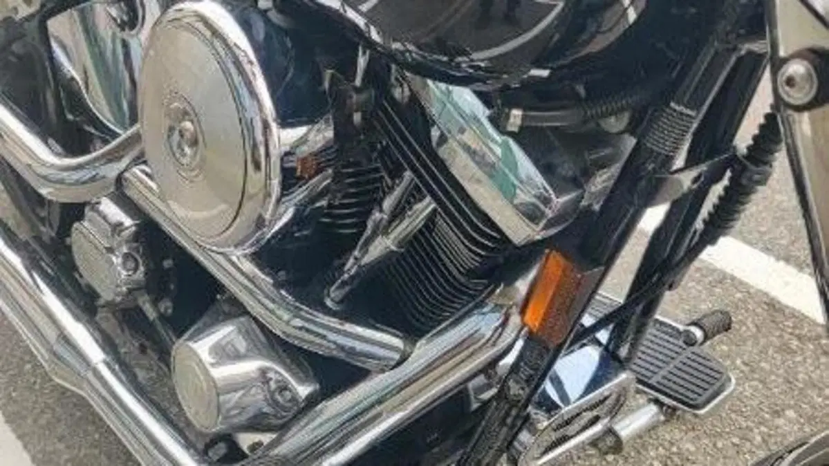 Harley-Davidson 1340 Fat Boy (1990 - 99) - FLSTF  (14)