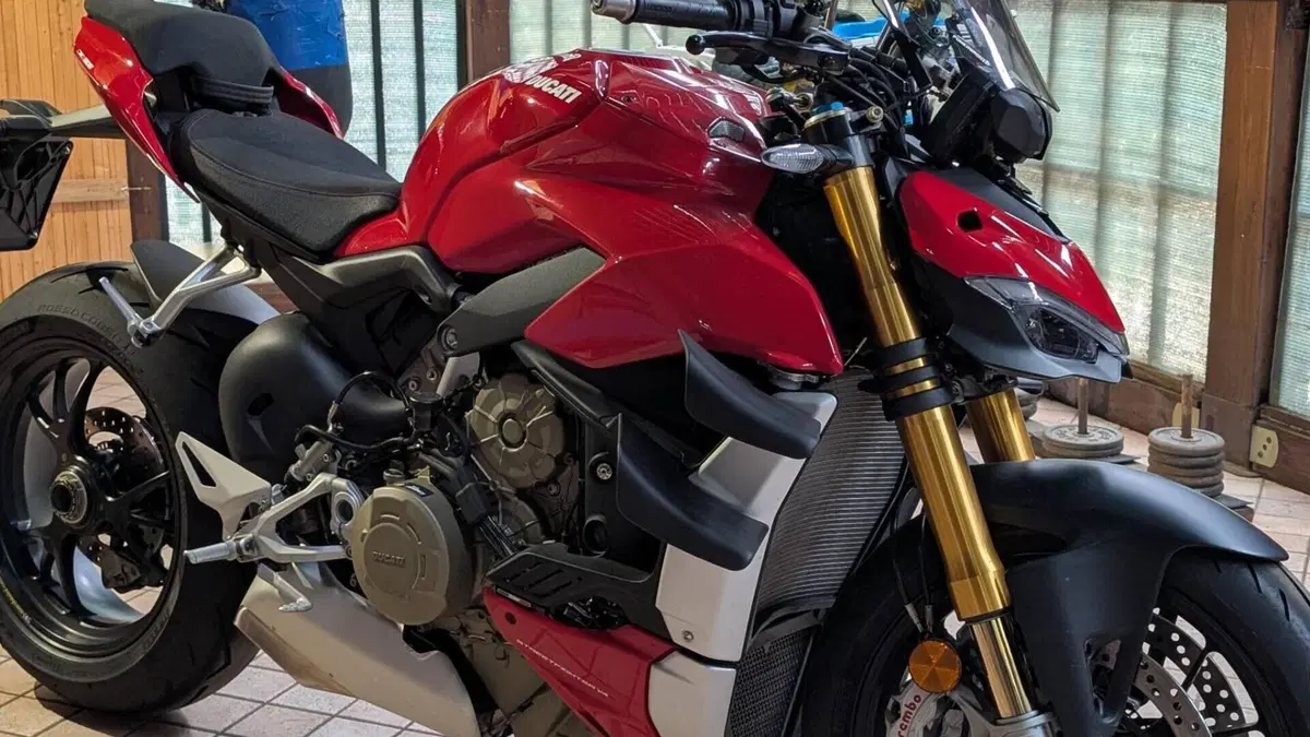 Ducati Streetfighter V4 1100 S (2021 - 22)  (7)