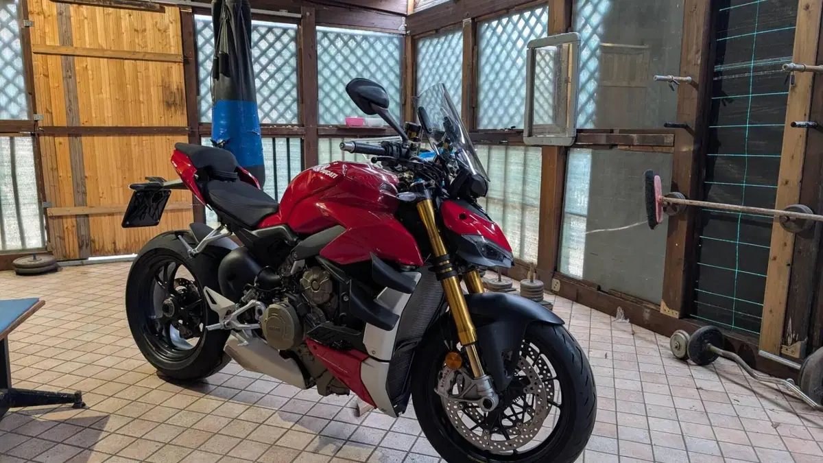 Ducati Streetfighter V4 1100 S (2021 - 22)  (8)
