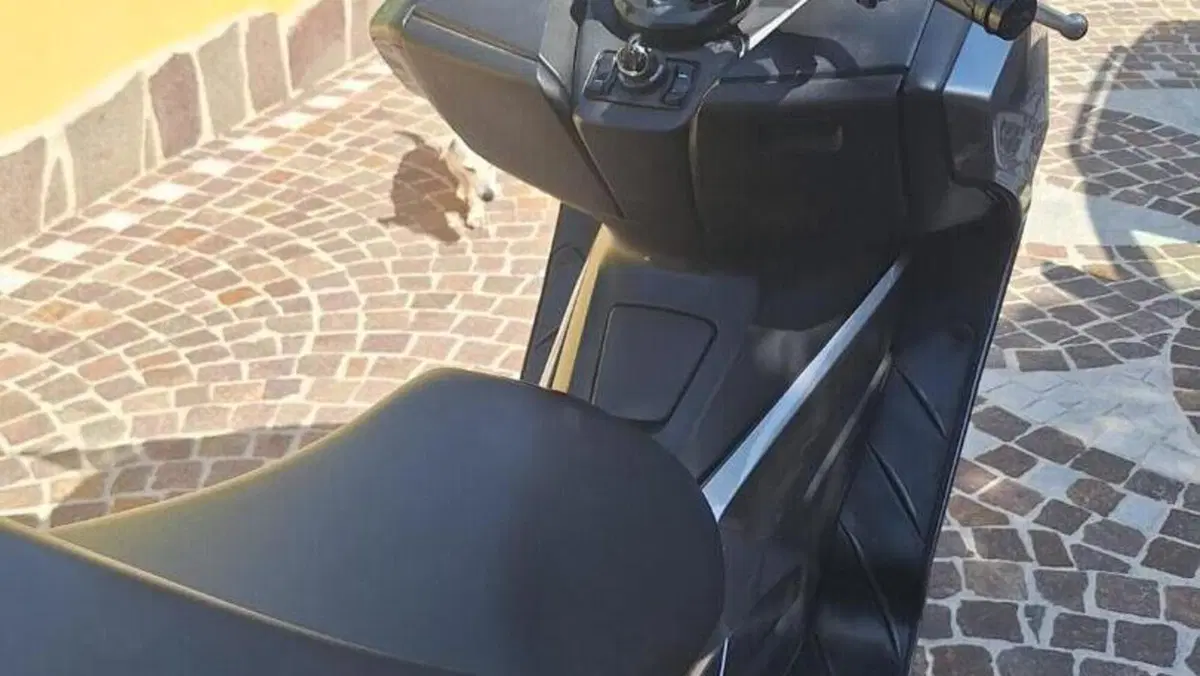 Honda Forza 300 ABS (2013 - 17)  (3)