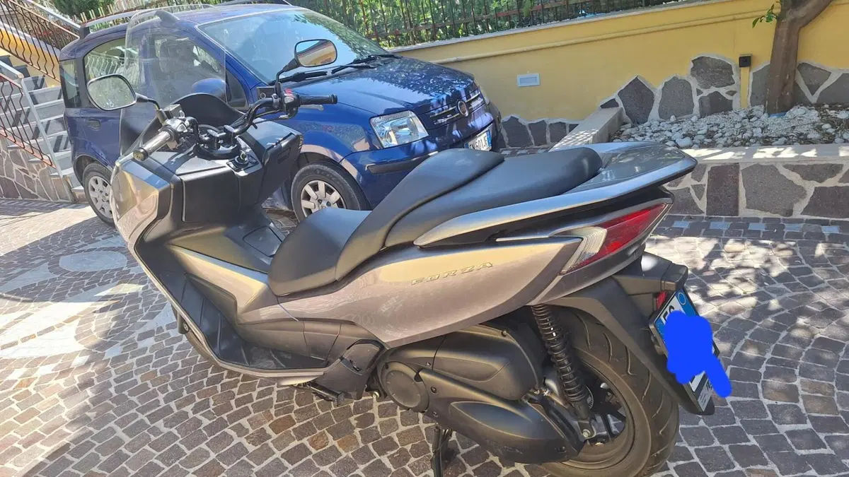 Honda Forza 300 ABS (2013 - 17)  (5)