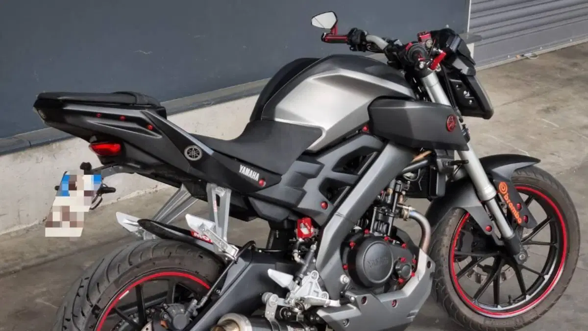 Yamaha MT-125 (2014 - 16)  (2)