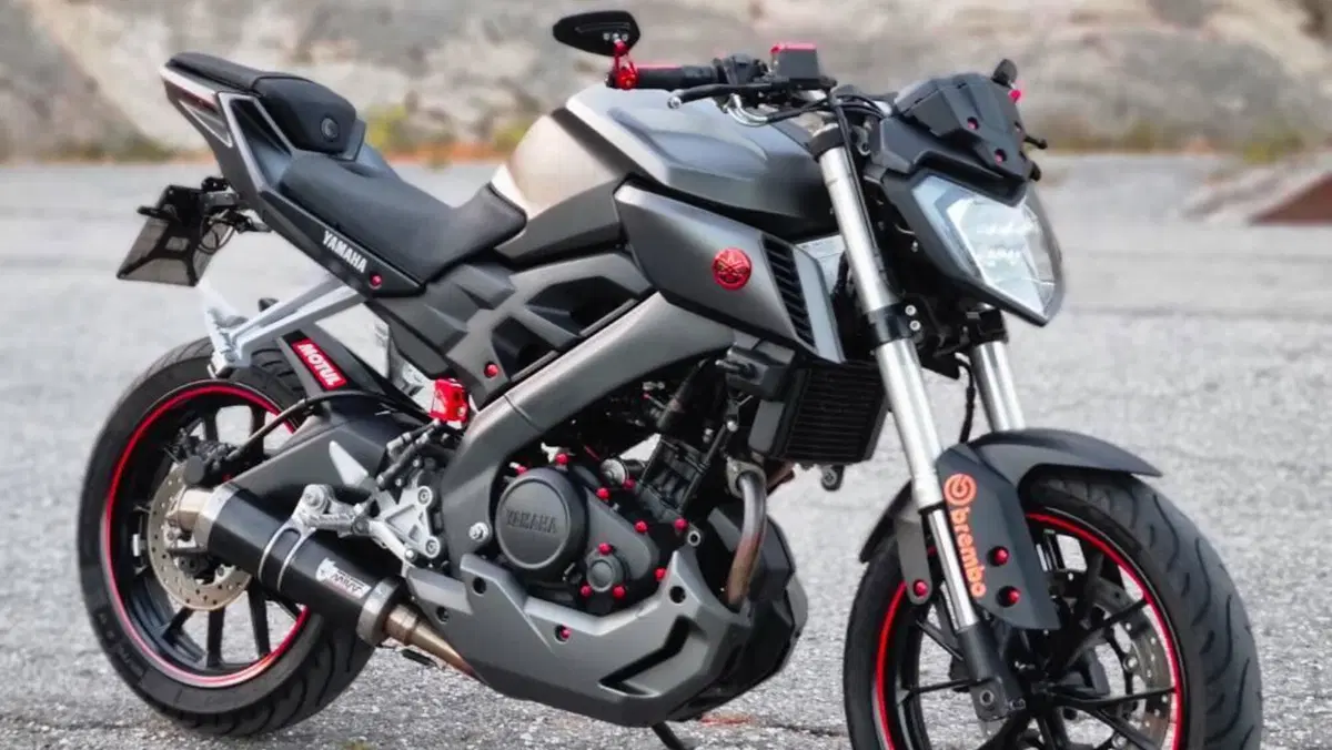 Yamaha MT-125 (2014 - 16)  (3)