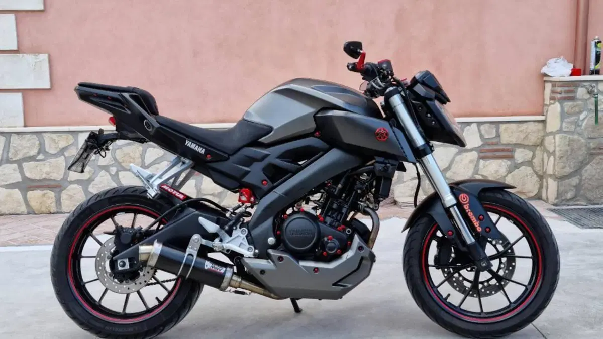 Yamaha MT-125 (2014 - 16)  (5)