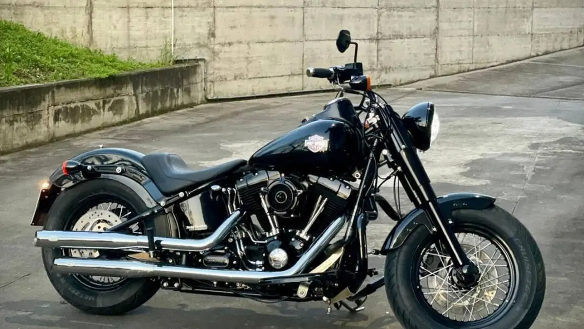 Harley-Davidson 1690 Slim (2011 - 16) - FLS 