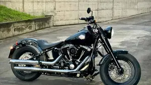 Harley-Davidson 1690 Slim (2011 - 16) - FLS 