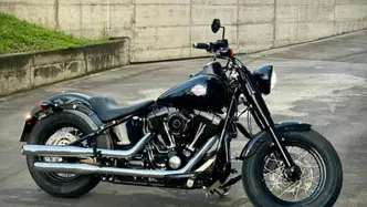 Harley-Davidson 1690 Slim (2011 - 16) - FLS usata