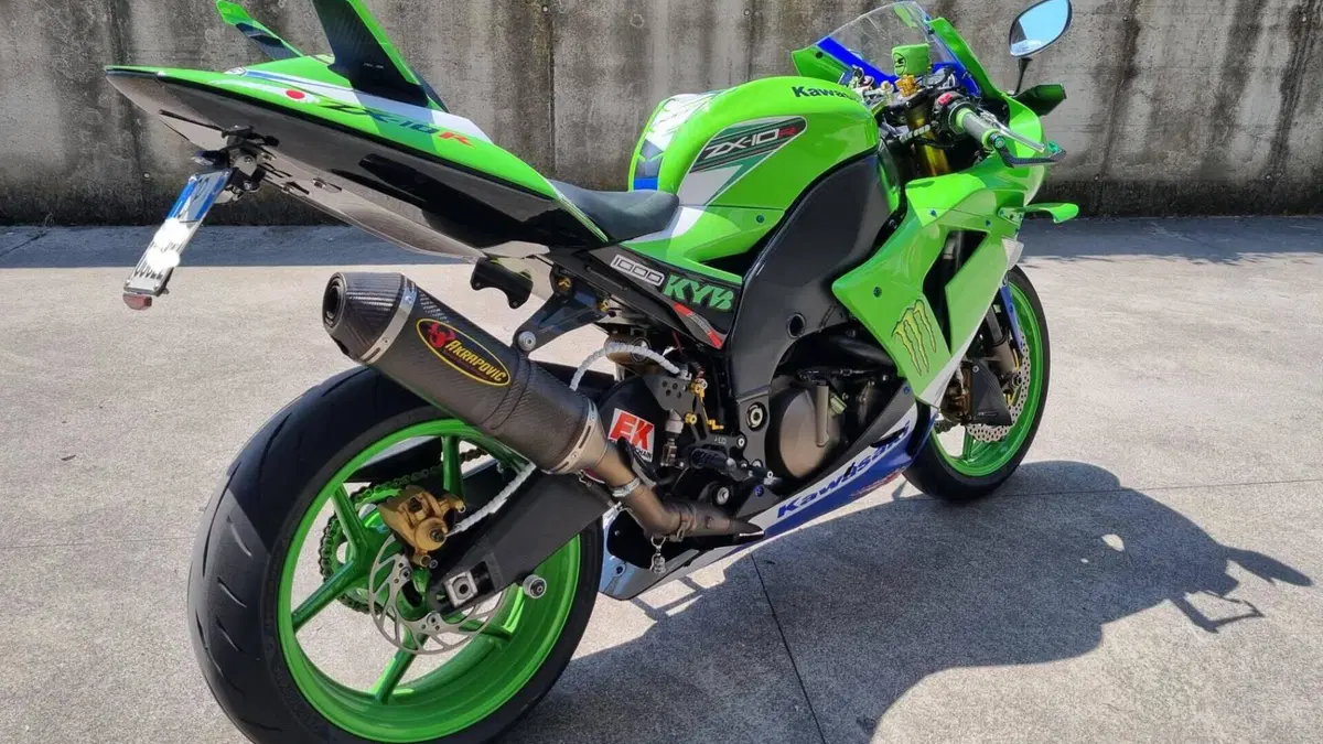 Kawasaki Ninja 1000 ZX-10R (2004 - 05)  (4)