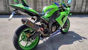 Kawasaki Ninja 1000 ZX-10R (2004 - 05)  (4)