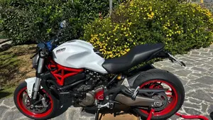 Ducati Monster 821 ABS (2014 - 17)  (2)