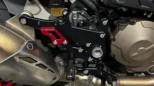Ducati Monster 821 ABS (2014 - 17)  (3)