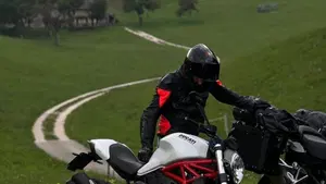 Ducati Monster 821 ABS (2014 - 17)  (5)