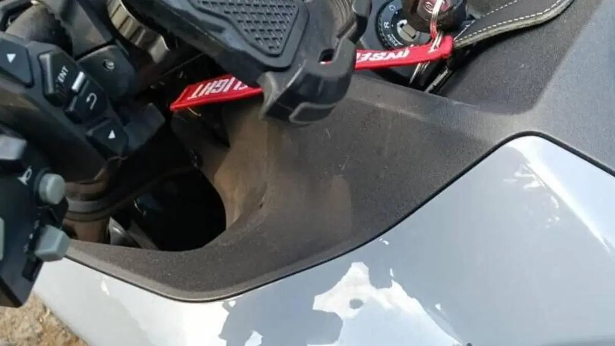 CFMOTO 300NK (2021 - 26)  (10)
