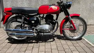 Morini  