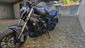 Benelli 502 C (2021 - 25)  (5)