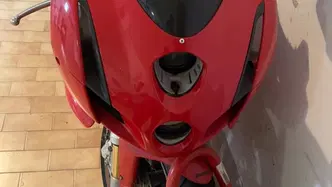 Ducati 999 (2002 - 04) usata