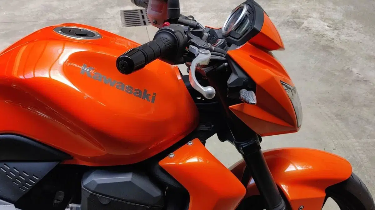 Kawasaki Z 750 (2007 - 14)  (8)