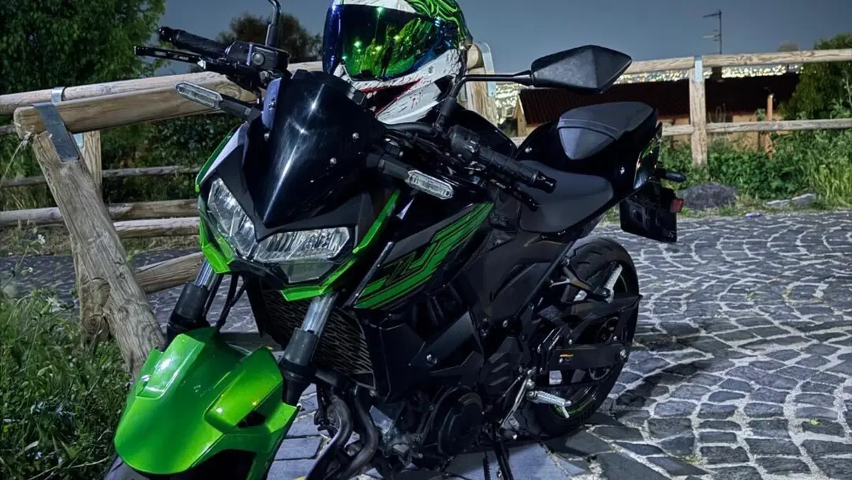 Kawasaki Z 400 (2019 - 20)  (2)