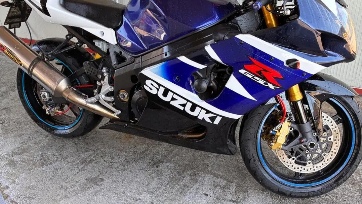 Suzuki GSX-R1000 (2003 - 04)  (2)