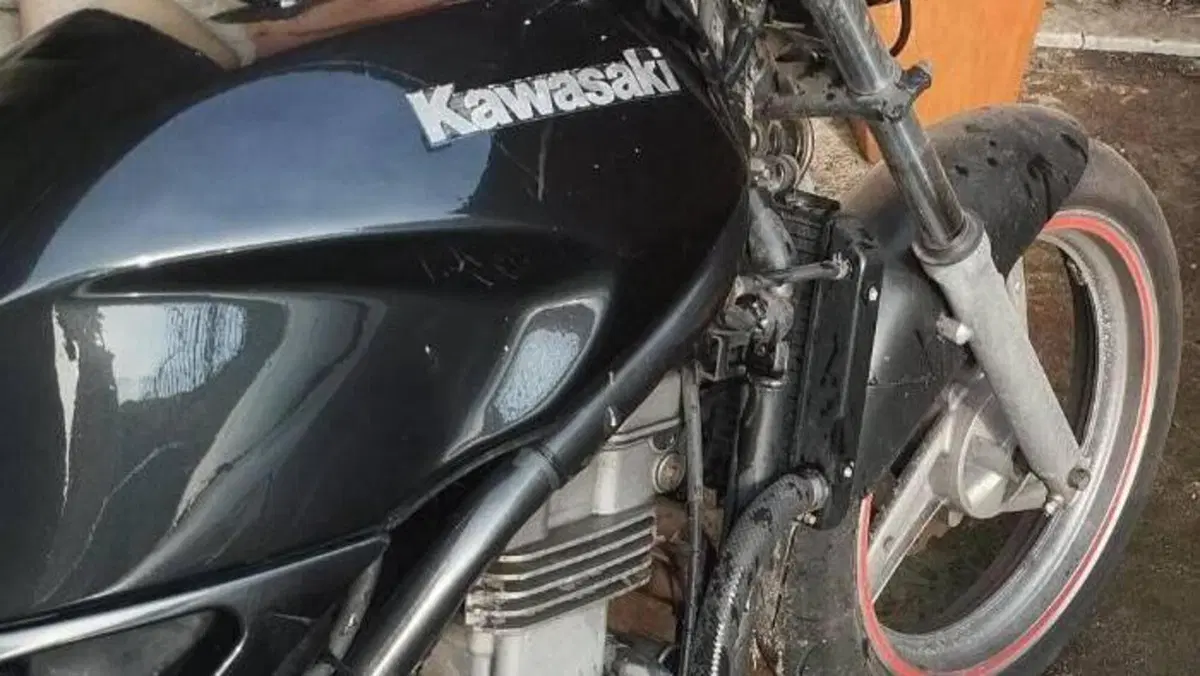 Kawasaki ER-5 500 (2001 - 06)  (2)