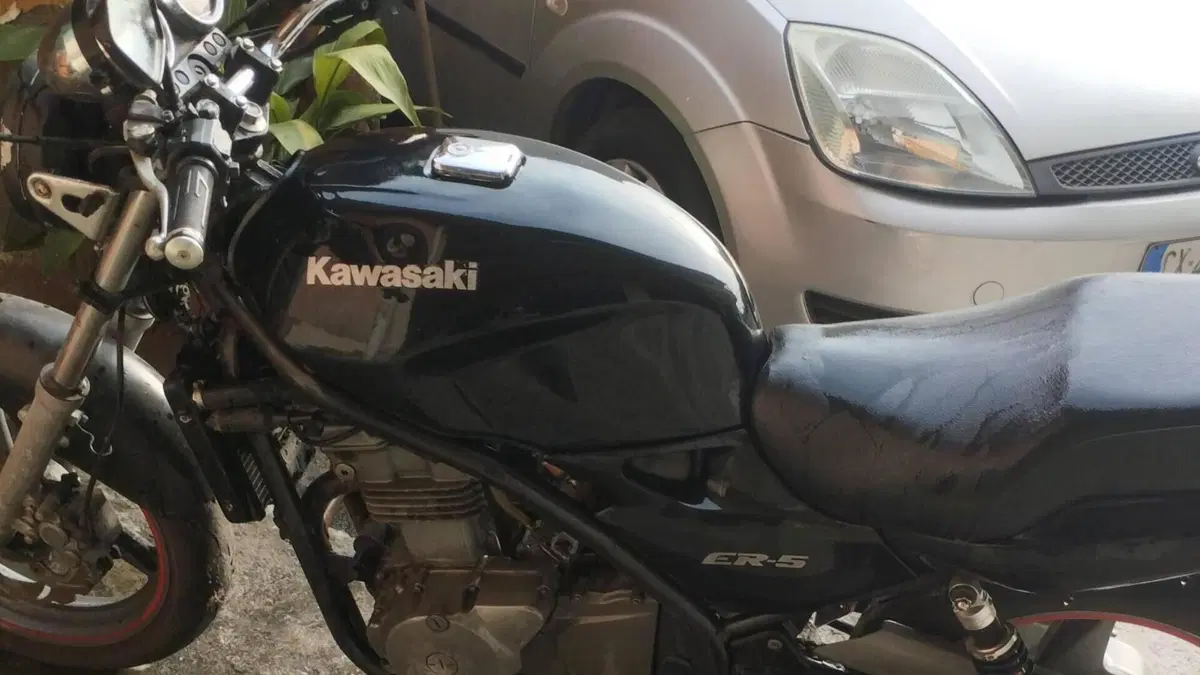 Kawasaki ER-5 500 (2001 - 06)  (4)