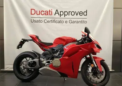 Ducati Panigale V4 (2025 - 26) - Annuncio 10043170