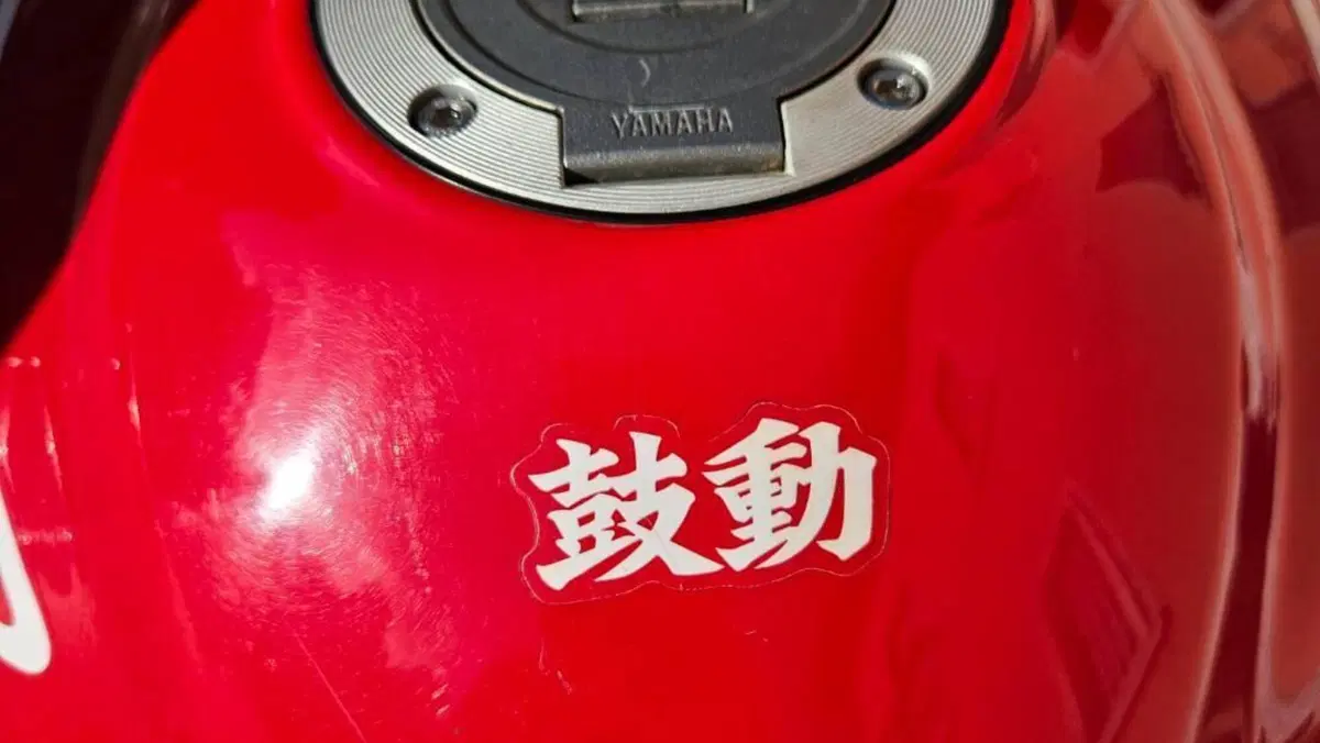Yamaha MT-03 (2006 - 14)  (6)