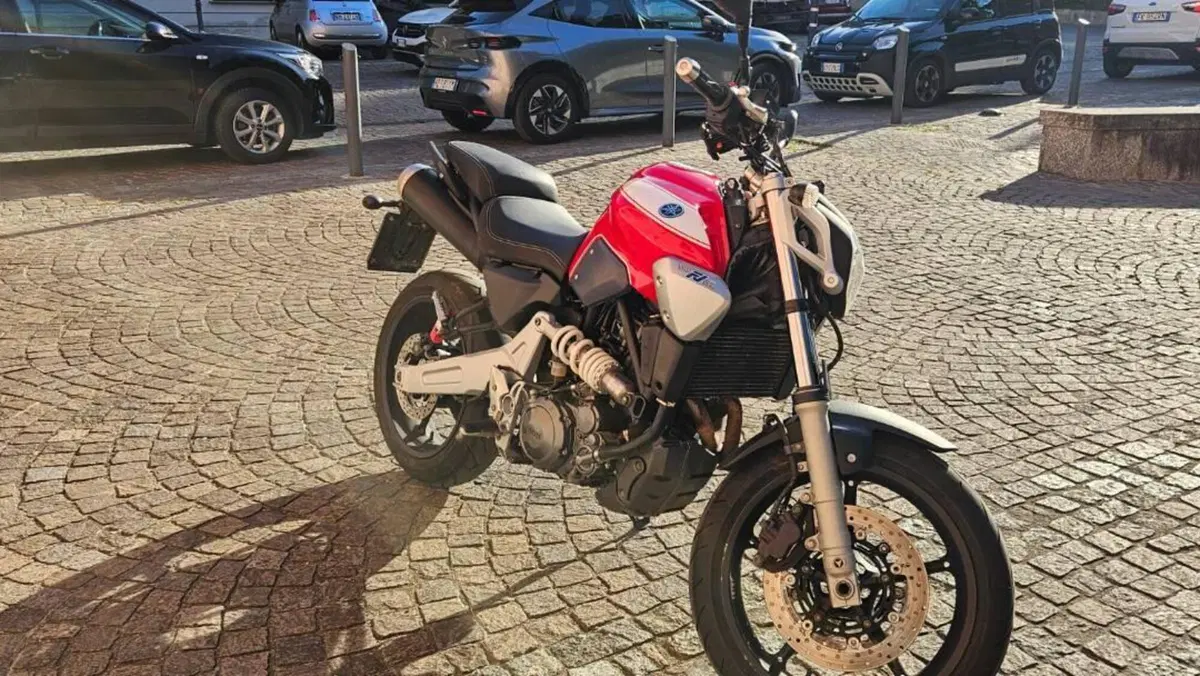 Yamaha MT-03 (2006 - 14)  (11)