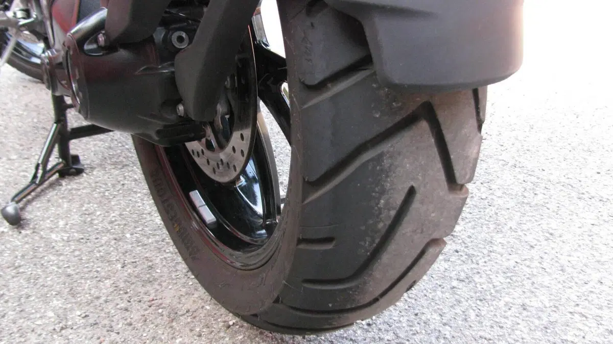 Bmw R 1250 GS (2019 - 20)  (7)
