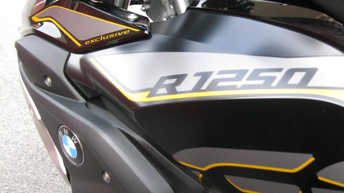 Bmw R 1250 GS (2019 - 20)  (9)