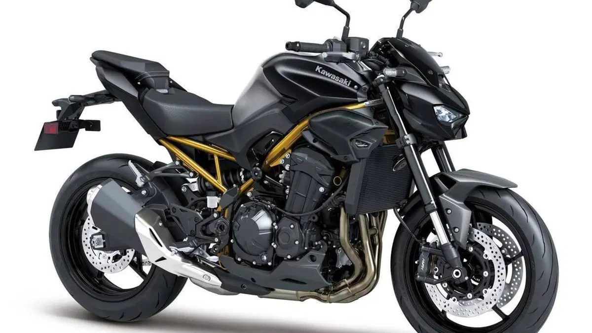 Kawasaki Z 900 (2025 - 26)  (3)