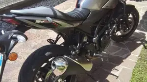 Suzuki SV 650 X (2018 - 20)  (5)