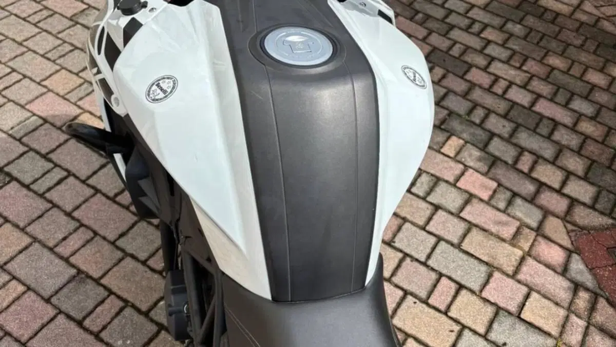 Benelli 502 C (2019 - 20)  (5)