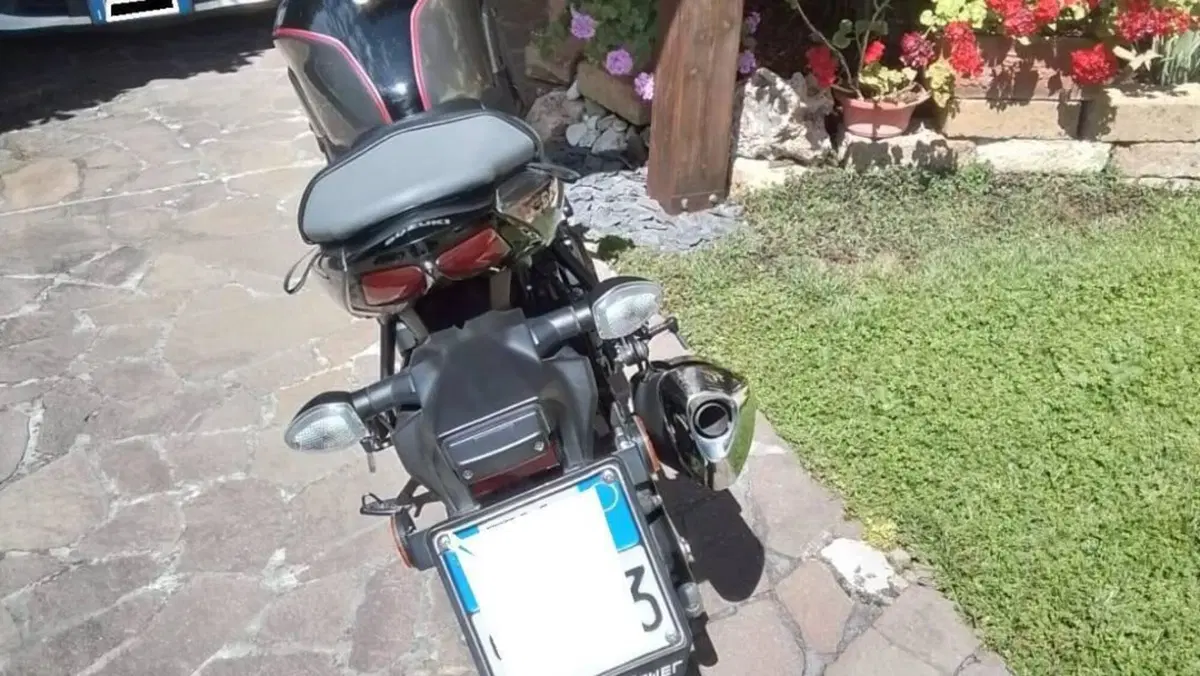 Suzuki SV 650 X (2018 - 20)  (6)