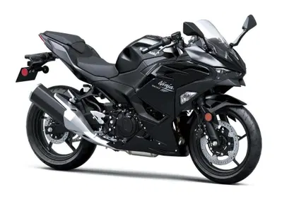 Kawasaki Ninja 500 (2024 - 26) - Annuncio 9746306