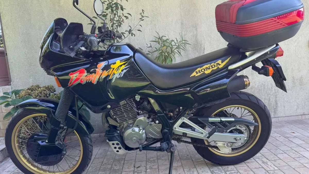 Honda NX 650 Dominator (1991 - 95)  (2)