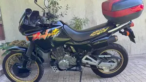 Honda NX 650 Dominator (1991 - 95)  (2)
