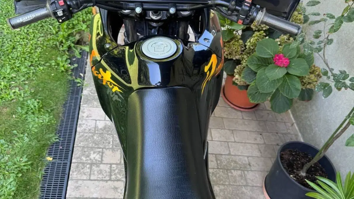 Honda NX 650 Dominator (1991 - 95)  (6)