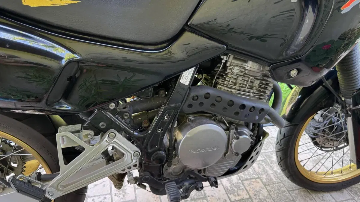 Honda NX 650 Dominator (1991 - 95)  (7)