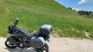 Harley-Davidson Pan America 1250 (2020 - 25)  (3)