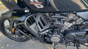 Harley-Davidson Pan America 1250 (2020 - 25)  (5)