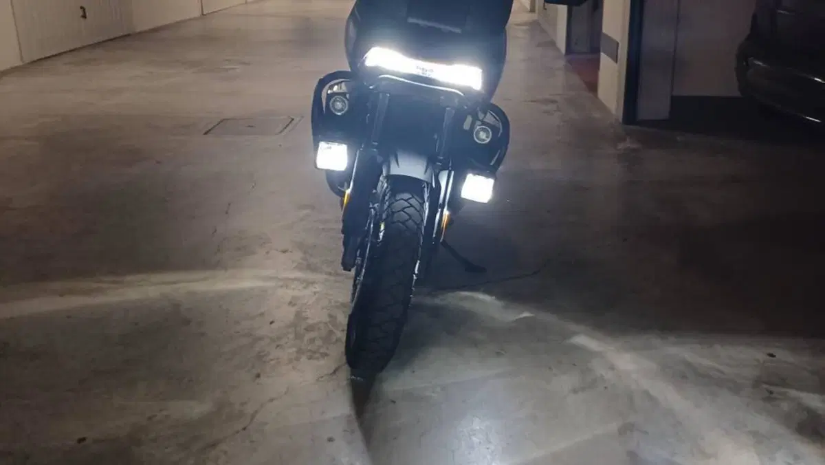 Harley-Davidson Pan America 1250 (2020 - 25)  (6)